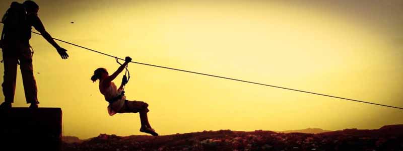 Flying Fox in Jodhpur