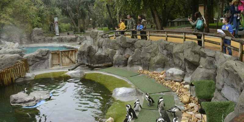 Jaipur Zoo