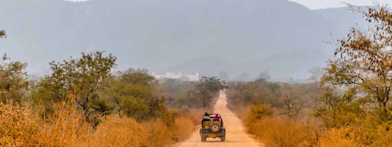 Sariska Wildlife Sanctuary