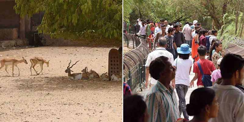 Jaipur Zoo