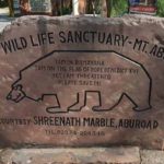 Mount Abu Wildlife Sanctuary