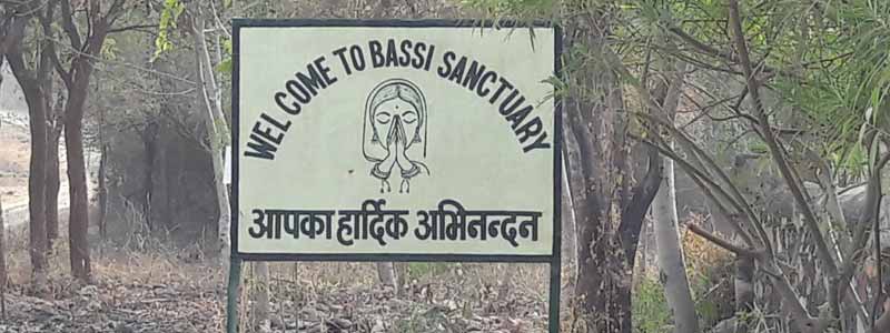 Bassi Wildlife Sanctuary