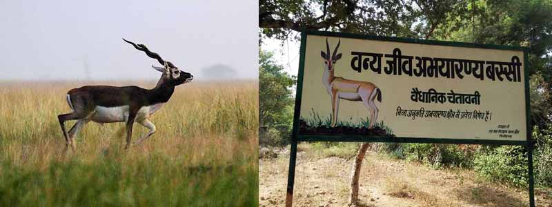 Bassi Wildlife Sanctuary