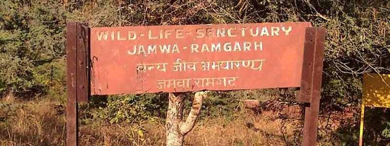 Jamva Ramgarh Wildlife Sanctuary