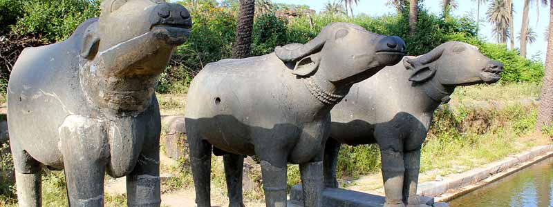 Achalgarh Fort Mount Abu