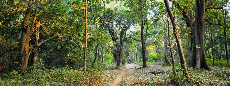 Sita Mata Wildlife Sanctuary