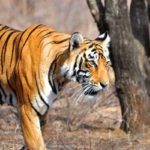 Top 6 Places to visit in Ranthambore