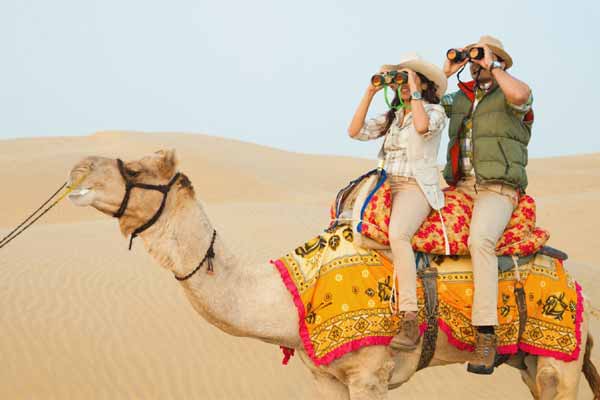 Best Camel Safari Deals in Rajasthan