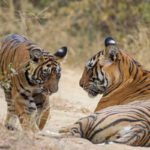 Places to see in Ranthambore