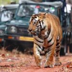 Top 12 Places to Visit in Ranthambore