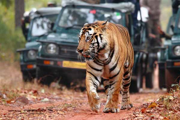 Top 12 Places to Visit in Ranthambore