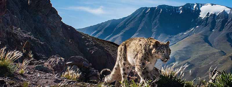 Hemis National Park