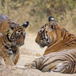 8 Places to Visit in Ranthambore