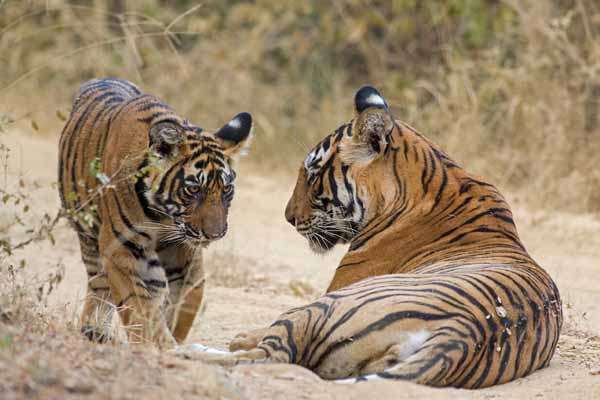 8 Places to Visit in Ranthambore