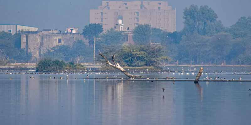 Chandlai Lake Jaipur