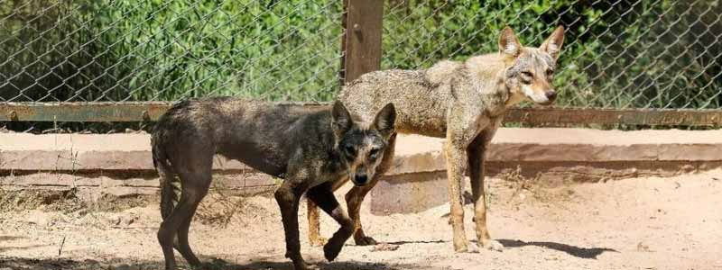 Machia Biological Park