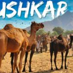 Top 10 Destinations to Visit in Pushkar