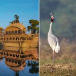Top 7 Places to Visit in Bharatpur