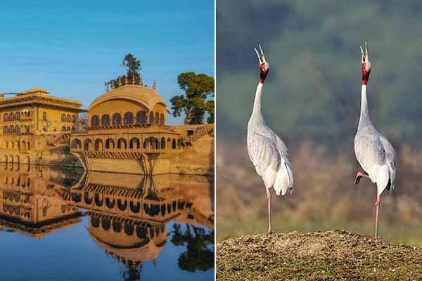 Top 7 Places to Visit in Bharatpur
