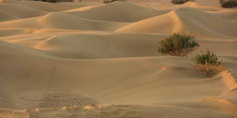Khuri Sand Dunes