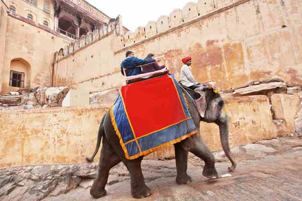Top 10 Things to do in Jaipur