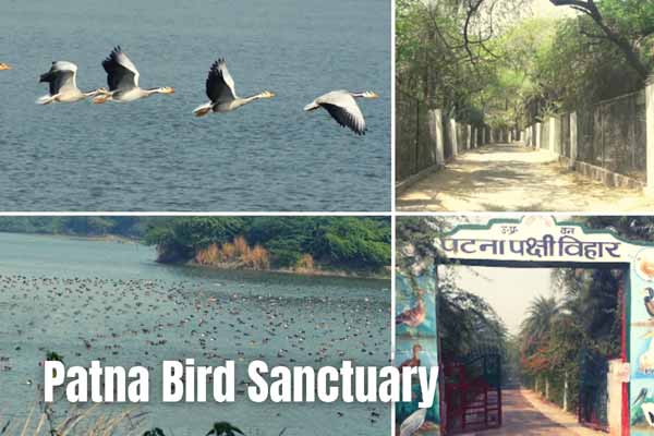 Patna Bird Sanctuary