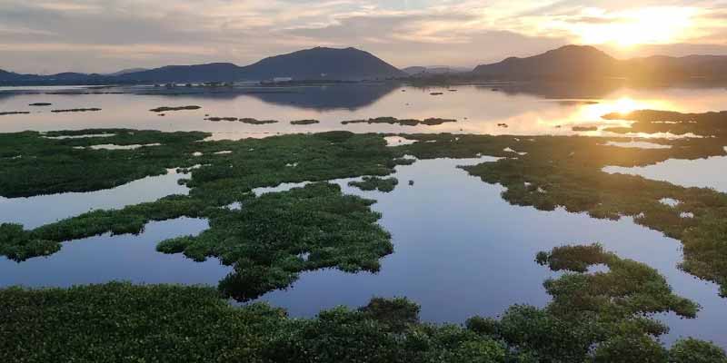 Udai Sagar Lake