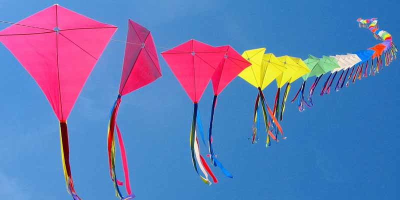 Makar Sankranti Festival in Rajasthan