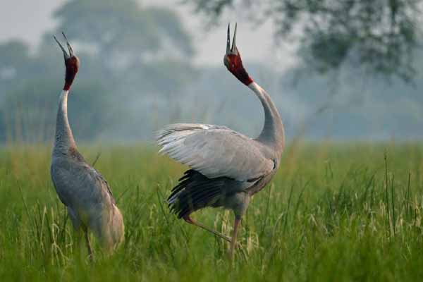 Monuments in Bharatpur