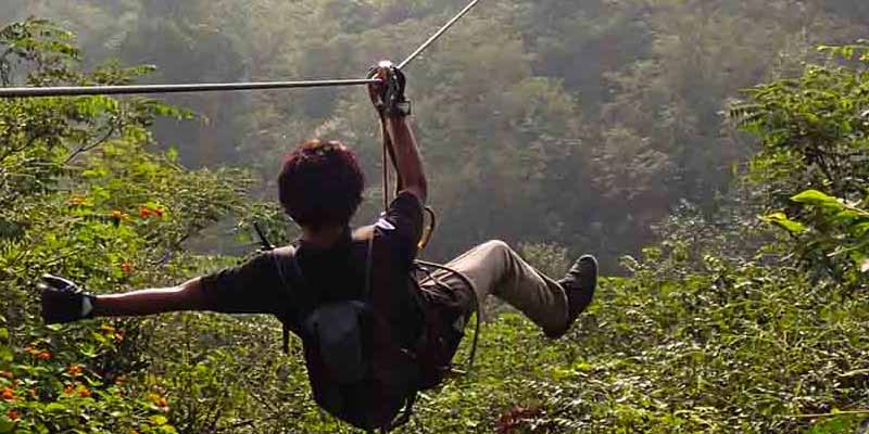 Flying Fox Neemrana