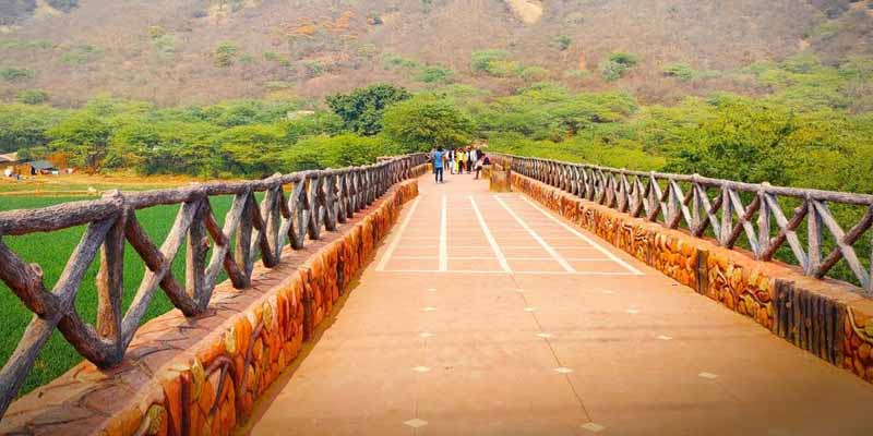 Biodiversity Park Alwar