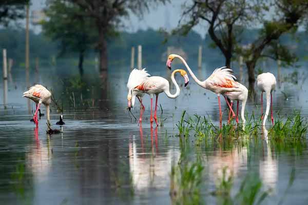 Must Visit Attractions in Bharatpur