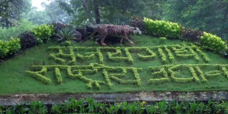 Sanjay Gandhi National Park