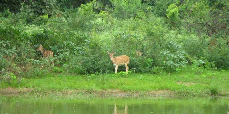 Van Vihar Sanctuary