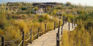 Kishan Bagh Jaipur - Entry Fee, Timings, Location