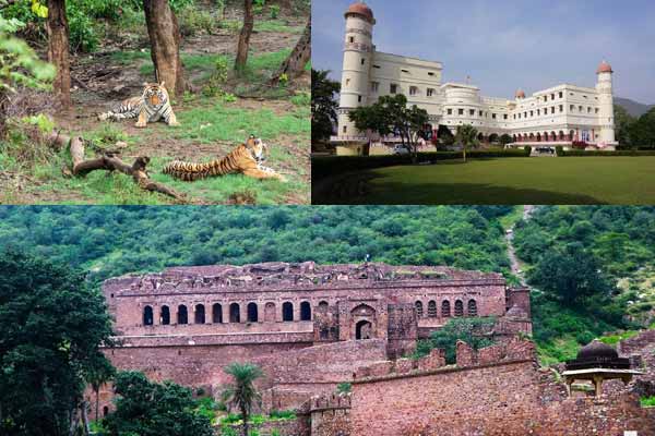 Things To Do In Sariska