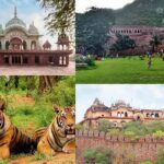 Things to do in Alwar