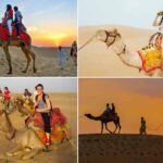 Camel Rides in Jaisalmer