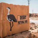 Wildlife Safari at Desert National Park – Jaisalmer