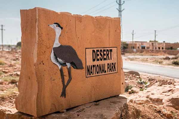Wildlife Safari at Desert National Park – Jaisalmer