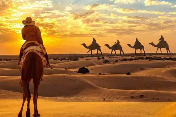 Best Local Experiences in Jaisalmer