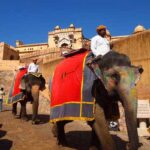 The Ultimate Guide to an Elephant Ride in Jaipur A Royal Experience