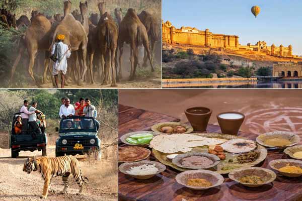 Thrilling Adventure Activities to Experience in Rajasthan