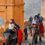 Amer Fort Elephant Safari, Jaipur – Ride Like Royalty