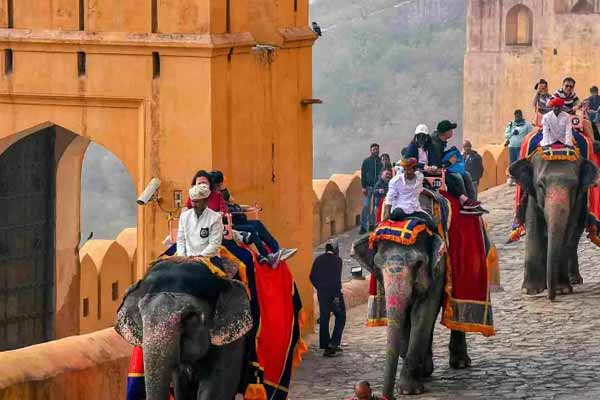 Amer Fort Elephant Safari Jaipur – Ride Like Royalty