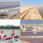 A Travel Guide to Sambhar Lake