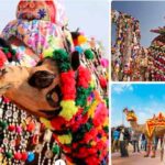 Experience the Magic of Pushkar Camel Fair