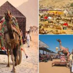 World Famous Pushkar Camel Fair in Rajasthan