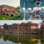 12 things to do and attractions in Bharatpur