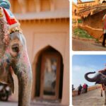 Elephant Village (Hathi Gaon) Jaipur